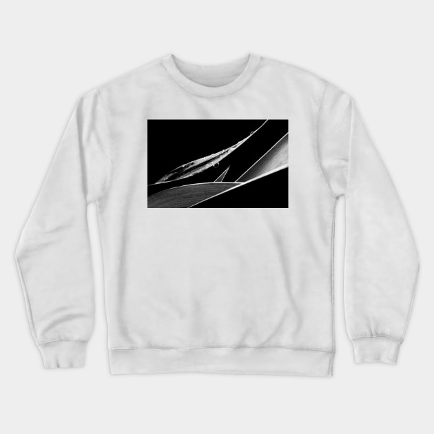 A Delicate Balance Crewneck Sweatshirt by LaurieMinor